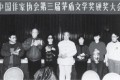 Литературная премия Мао Дуня 1991 года